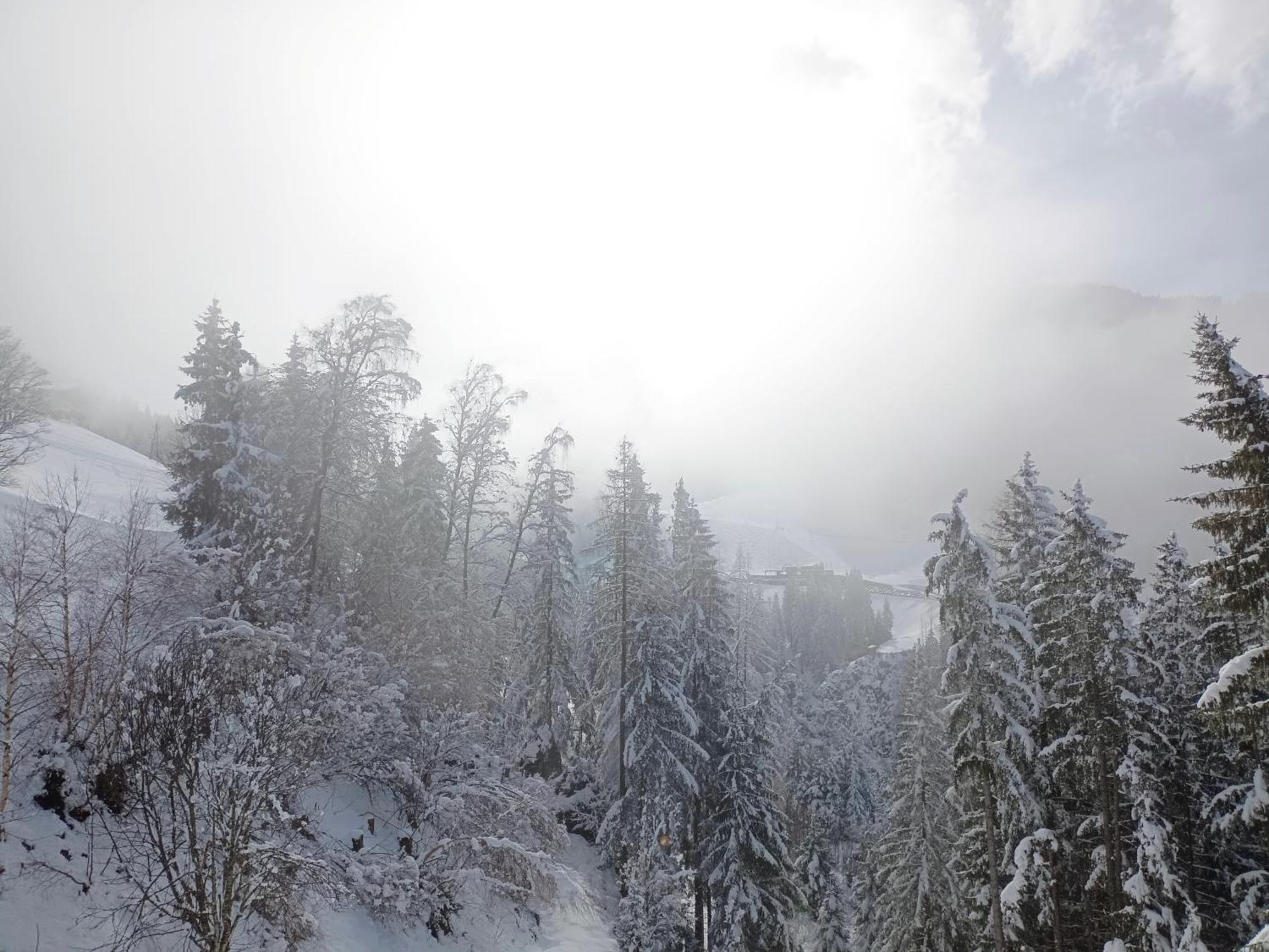 Chalet Leni Schladming Eksteriør billede