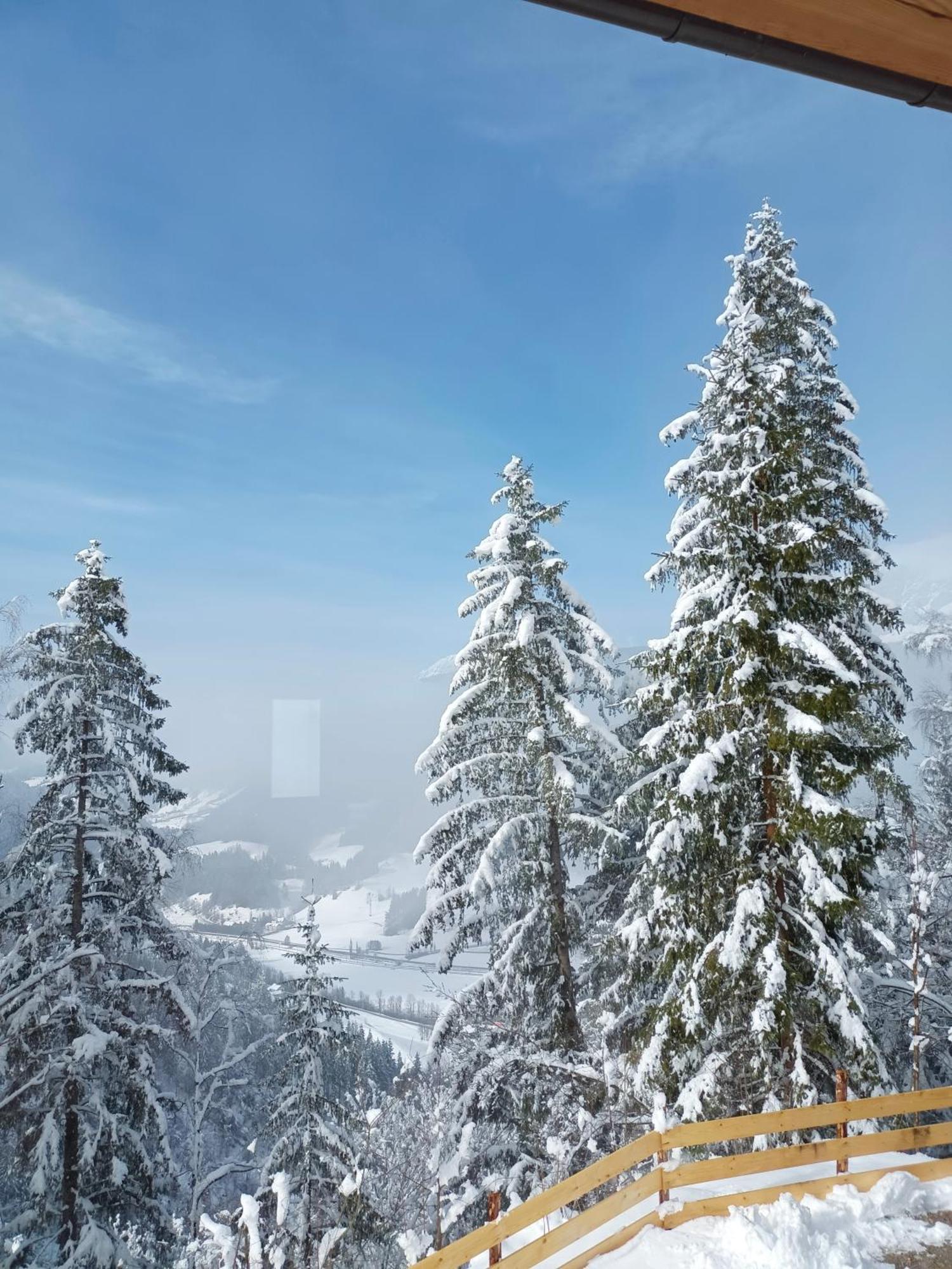 Chalet Leni Schladming Eksteriør billede